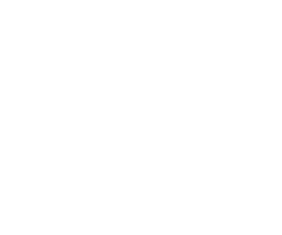 icon Conditioning 2