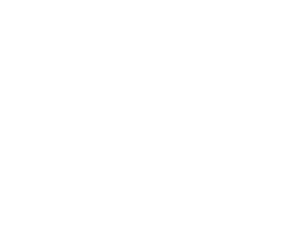 icon Conditioning 3